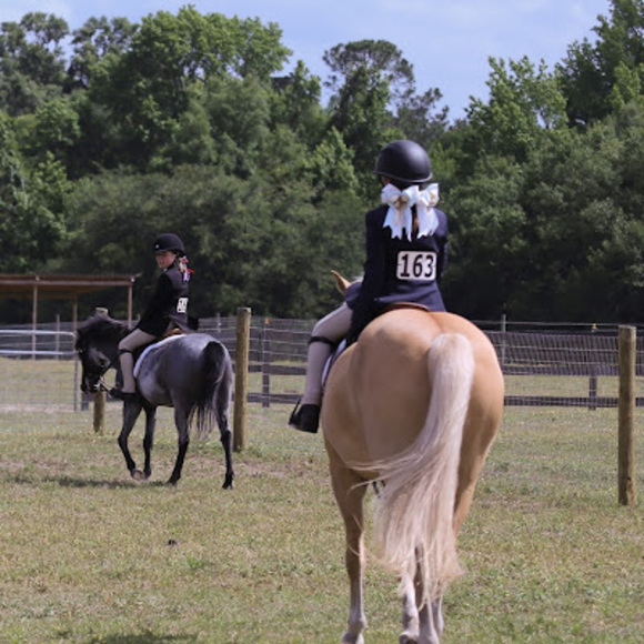 Meet your Posher, Madison - Picture 1 of 1